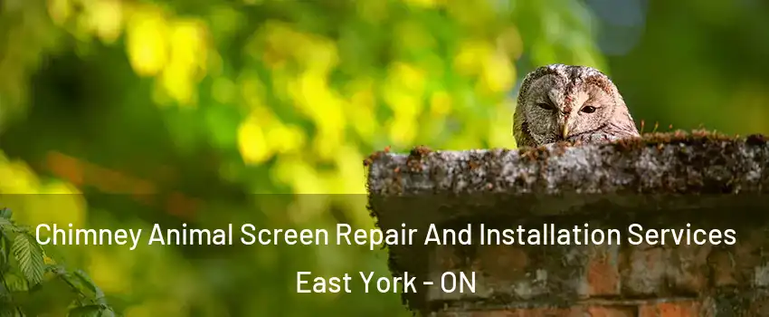  Chimney Animal Screen Repair And Installation Services East York - ON