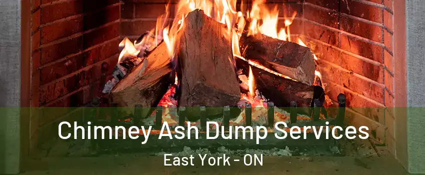  Chimney Ash Dump Services East York - ON