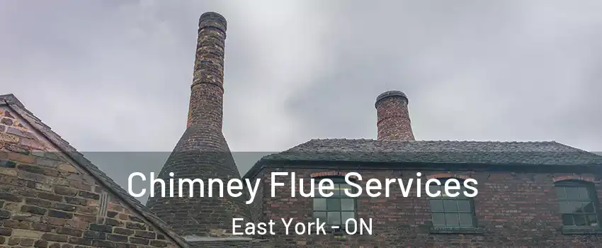  Chimney Flue Services East York - ON