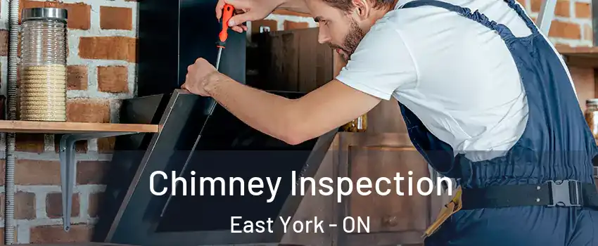  Chimney Inspection East York - ON