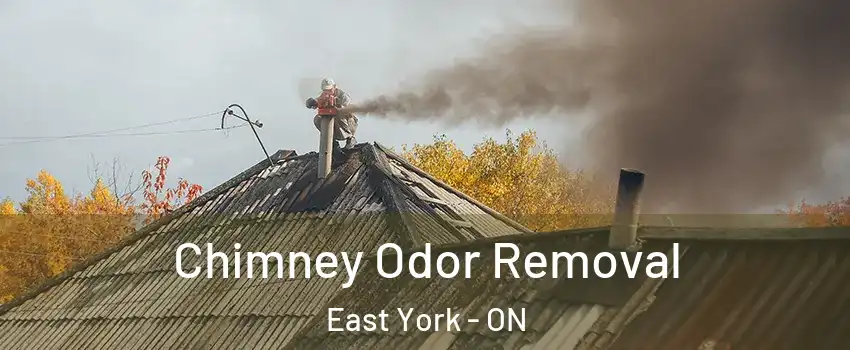  Chimney Odor Removal East York - ON