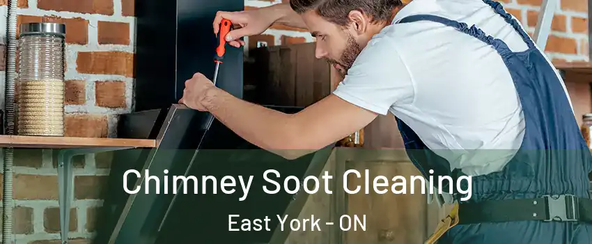  Chimney Soot Cleaning East York - ON