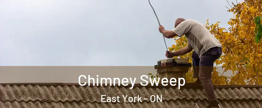  Chimney Sweep East York - ON