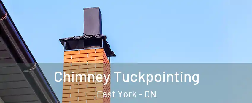  Chimney Tuckpointing East York - ON