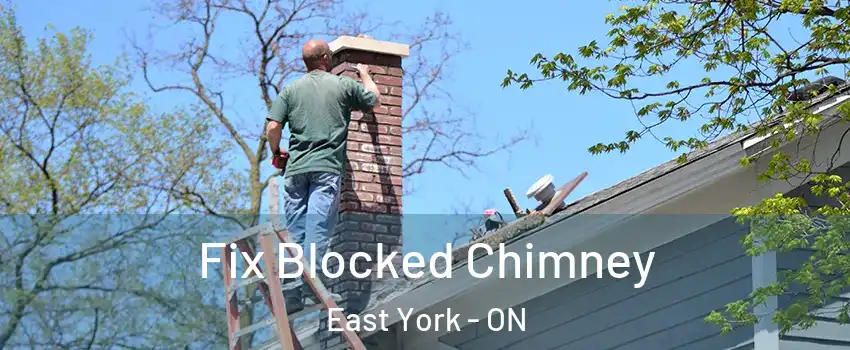  Fix Blocked Chimney East York - ON