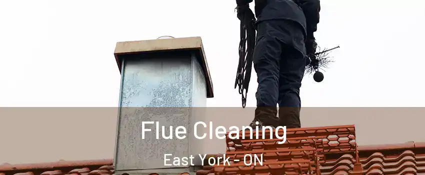  Flue Cleaning East York - ON