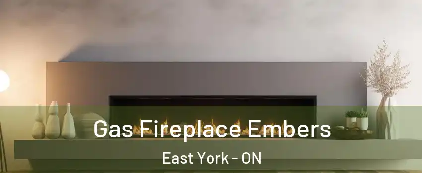  Gas Fireplace Embers East York - ON