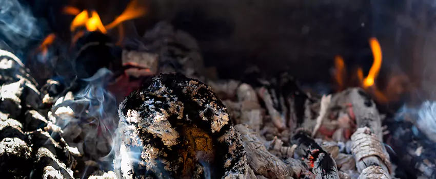 Creosote Removal Experts in East York, ON