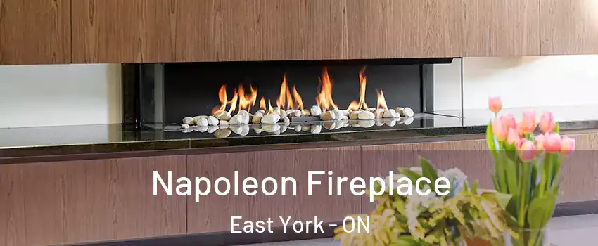  Napoleon Fireplace East York - ON